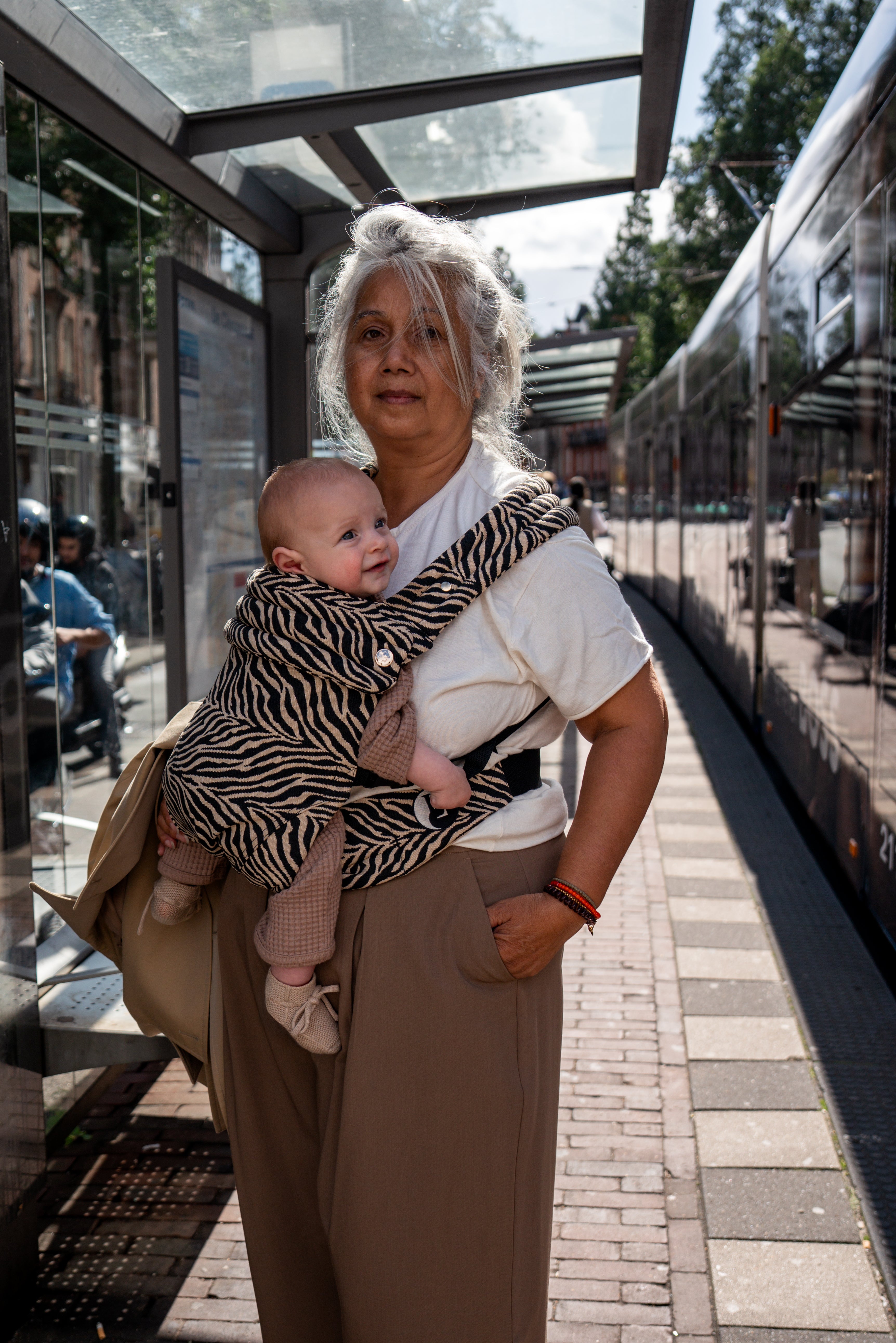 Baby Carrier - Zebra Brown