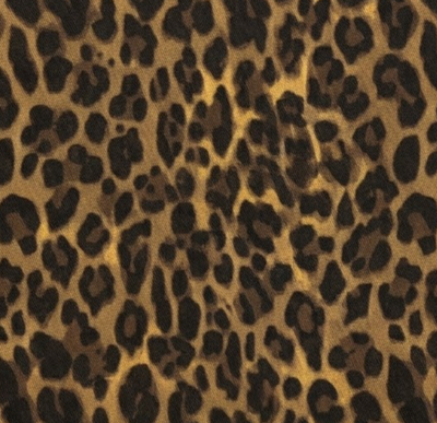 Draagzak baby - Leopard Brown